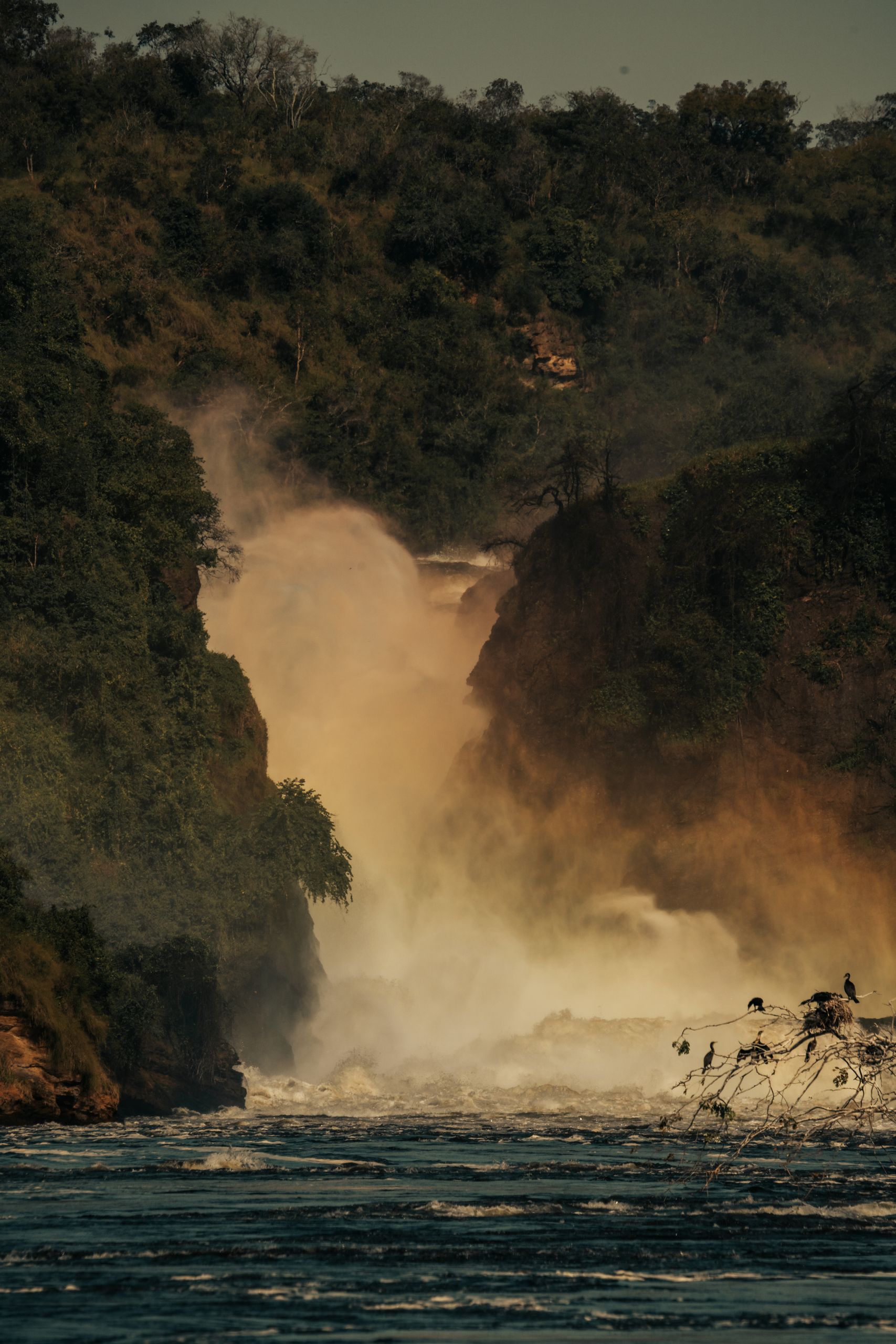 A breathtaking view of a powerful waterfall flowing through a dense forest setting, showcasing nature's beauty.