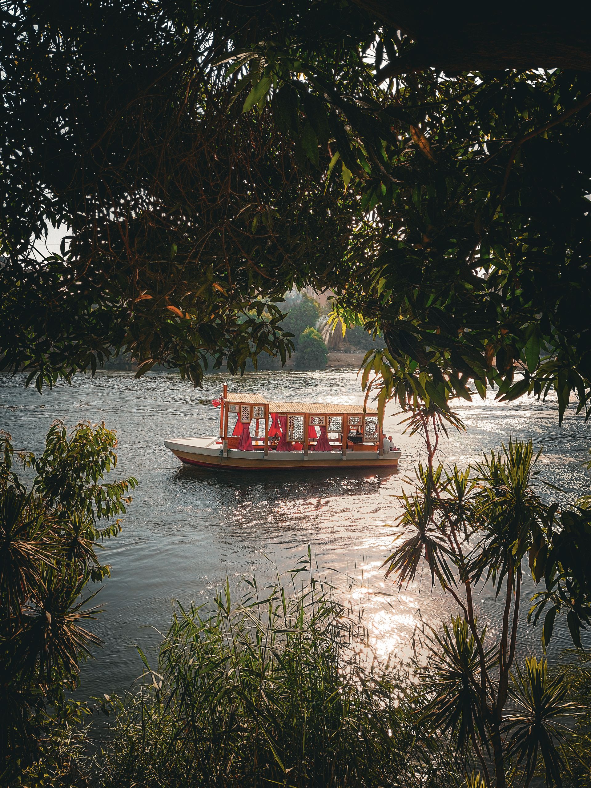 A calm boat journey on a river surrounded by lush green foliage during the day.