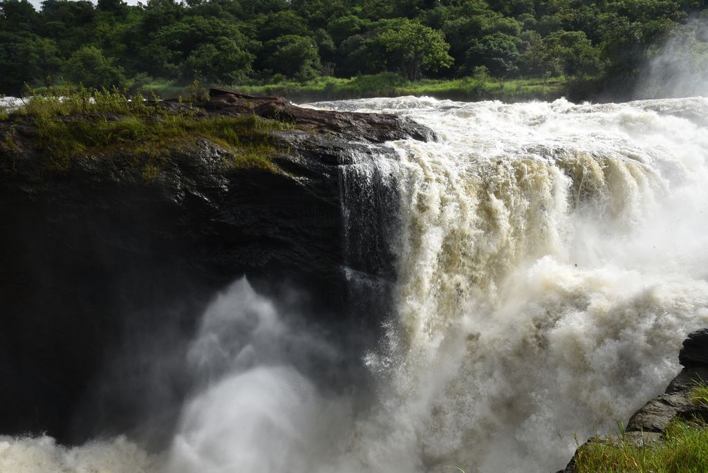 A stunning waterfall cascades through a dense forest, showcasing nature's raw beauty and power.