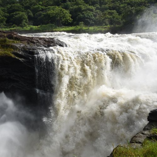 A stunning waterfall cascades through a dense forest, showcasing nature's raw beauty and power.