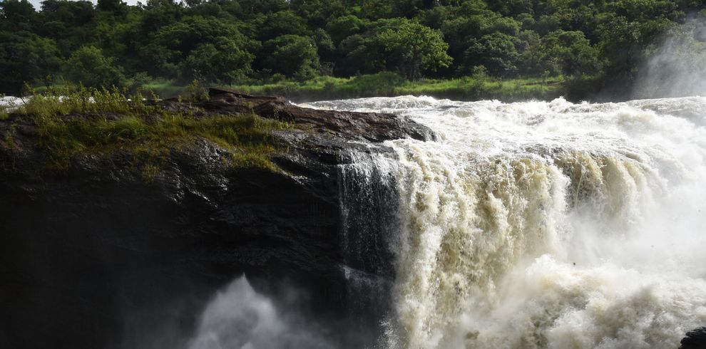 A stunning waterfall cascades through a dense forest, showcasing nature's raw beauty and power.