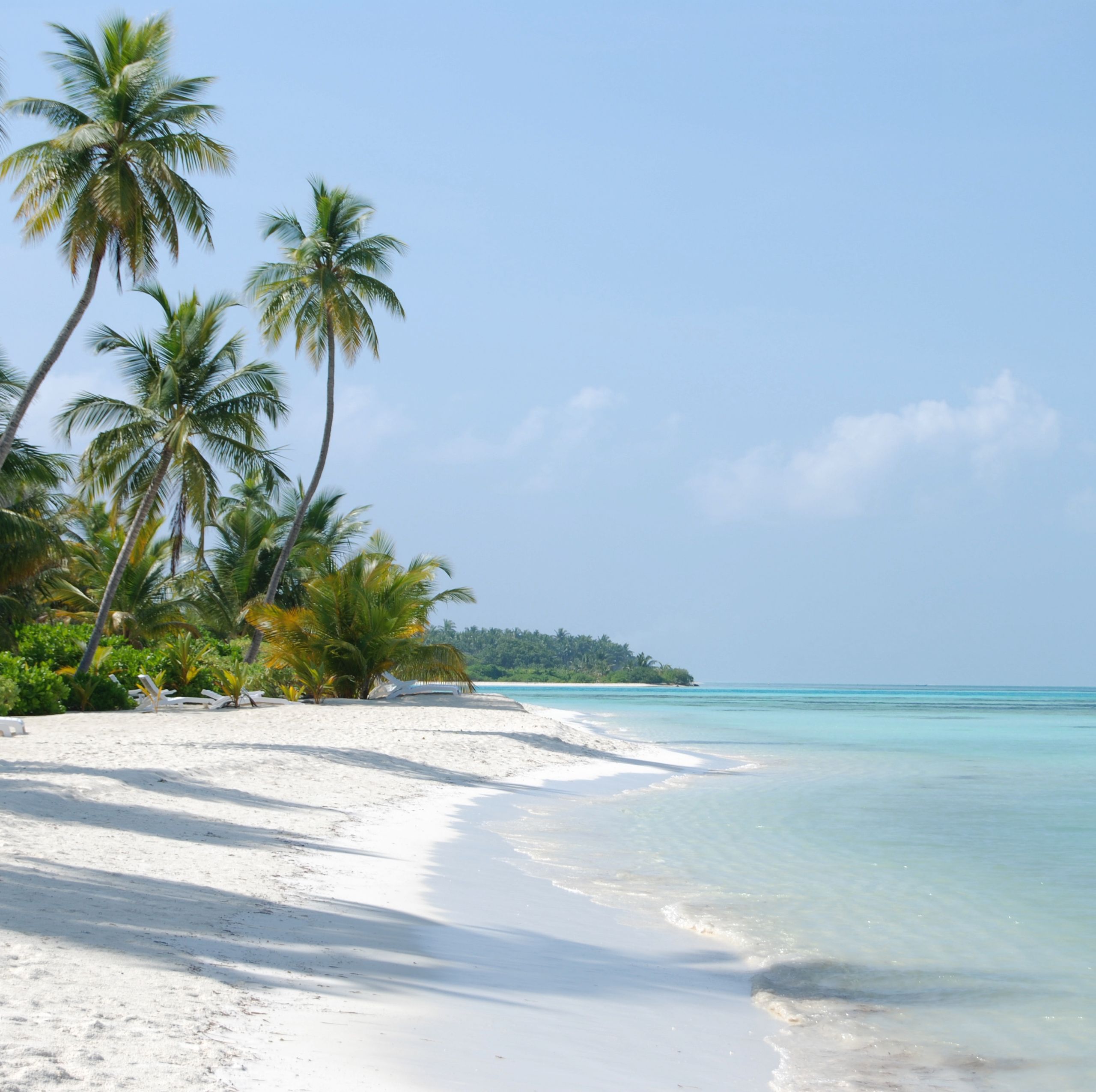 Serene white sandy beach with palm trees and crystal-clear waters under a clear sky.