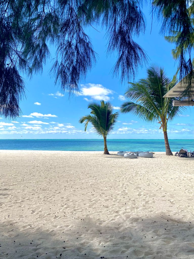 Beautiful beach view in Mauritius with palm trees and clear blue ocean.