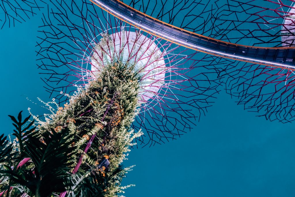 From below amazing view of famous tall tree like structure with exotic plants and ferns illuminated by bright lights against dark evening sky in Singapore Gardens