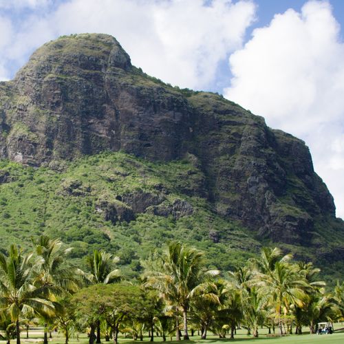 Scenic view of a lush mountain surrounded by coconut trees under a clear blue sky.