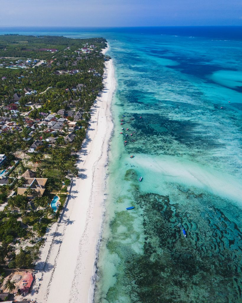 Stunning aerial view of Zanzibar's pristine coastline and turquoise ocean.