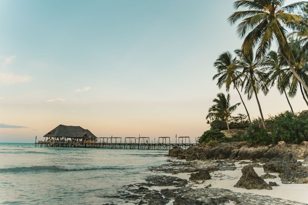 Stunning tropical beach in Zanzibar with palm trees and a wooden pier during sunset, offering a serene escape.