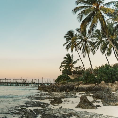 Stunning tropical beach in Zanzibar with palm trees and a wooden pier during sunset, offering a serene escape.